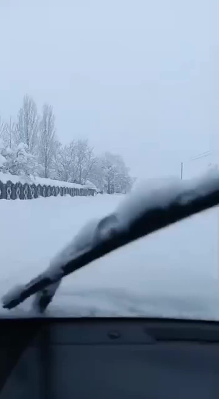 Lerikdə qarın yaratdığı vəziyyət