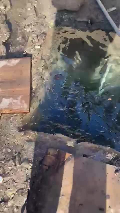 “10 gündən çoxdur boru partlayıb, su boşuna axıb gedir”