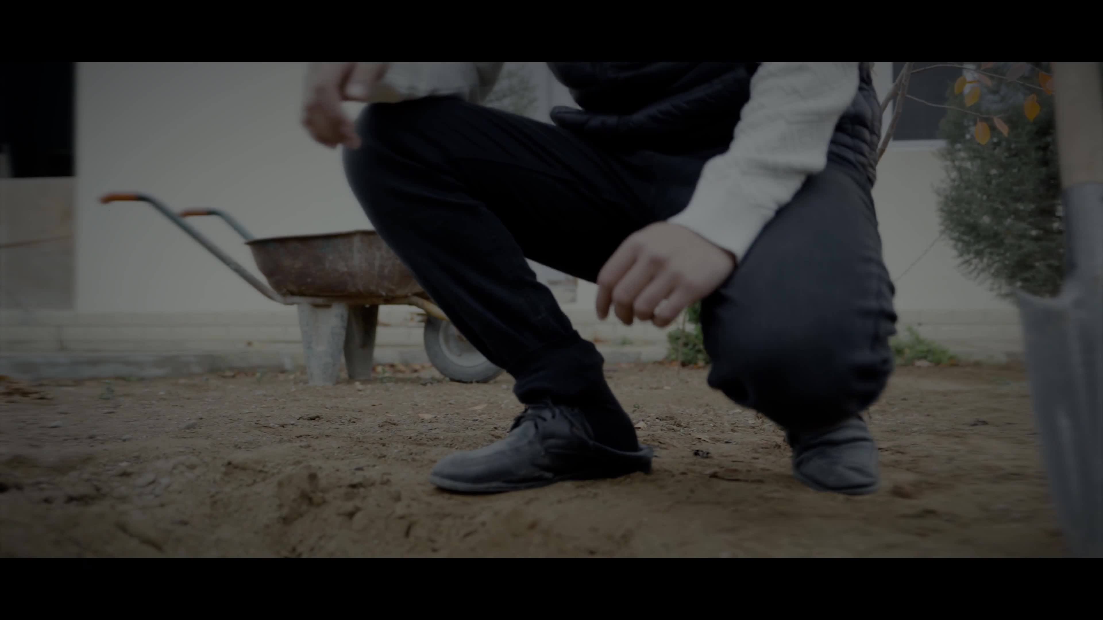 Qalib ölkənin əsgəri!