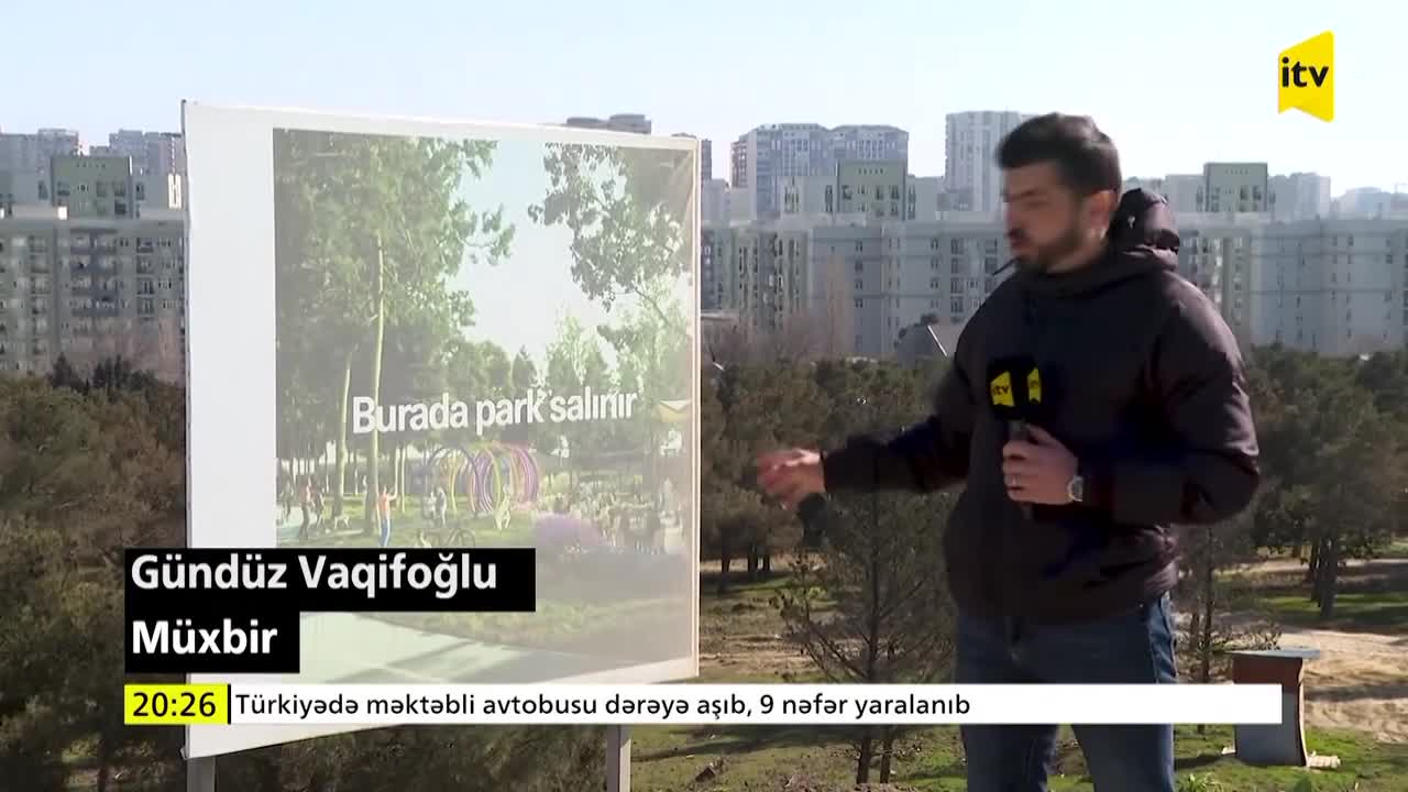 Yasamalda quruyan şam meşəsində niyə park salınmır?