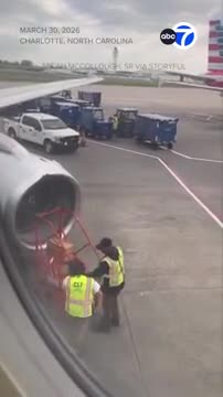 Arılara görə ABŞ reysi təxirə salındı