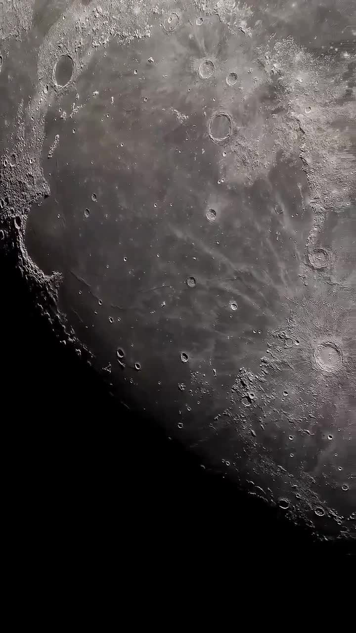 Ayı belə yaxından görməmisiniz