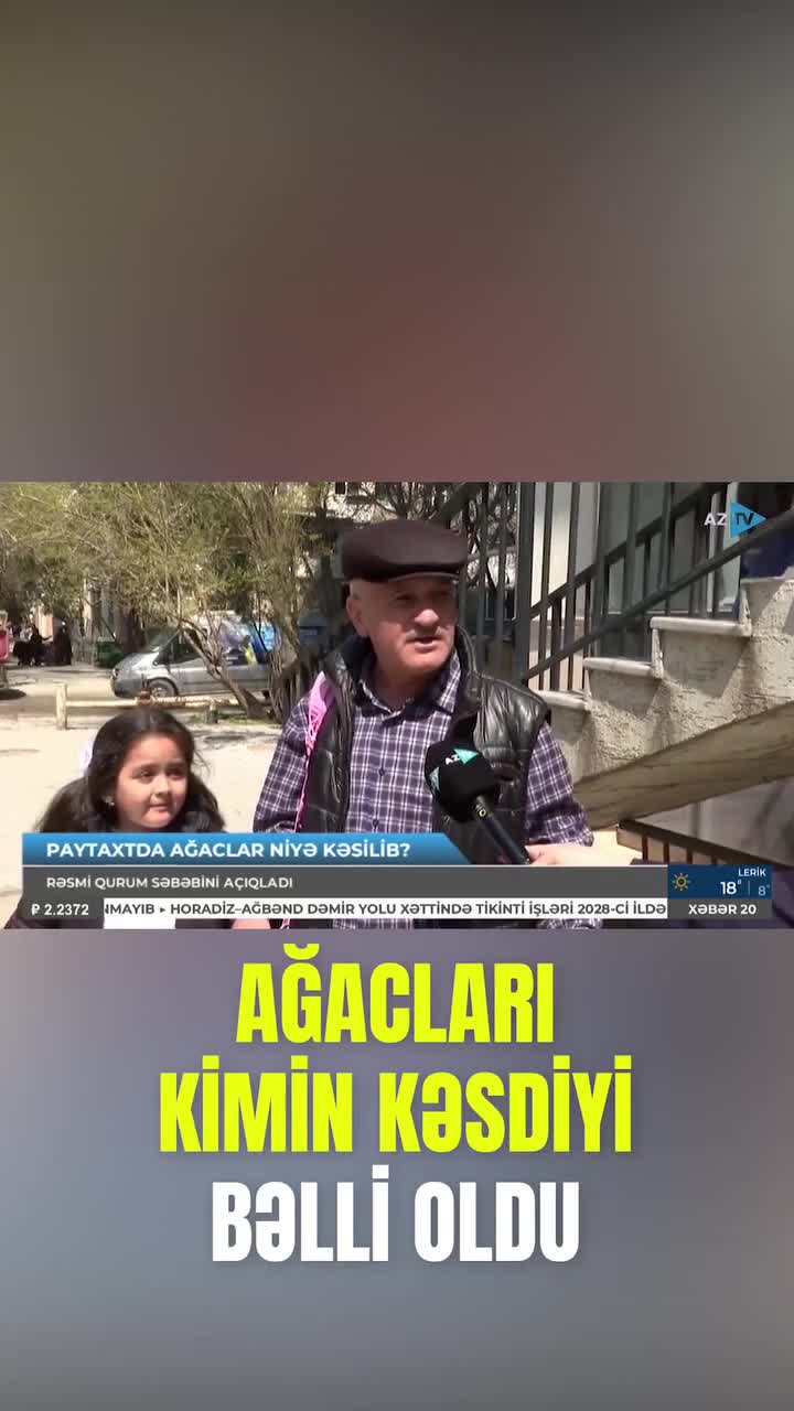 Bakıda ağacları kim kəsib?