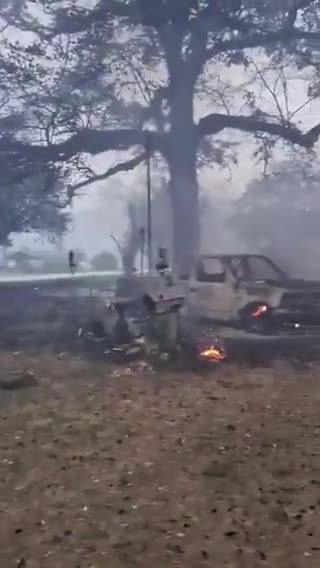 ABŞ-də meşə yanğınları