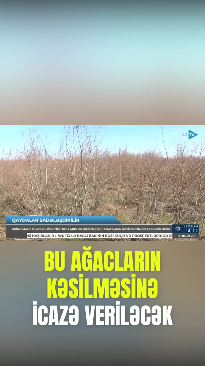 Həmin ağacları kəsənlər cərimələnməyəcək