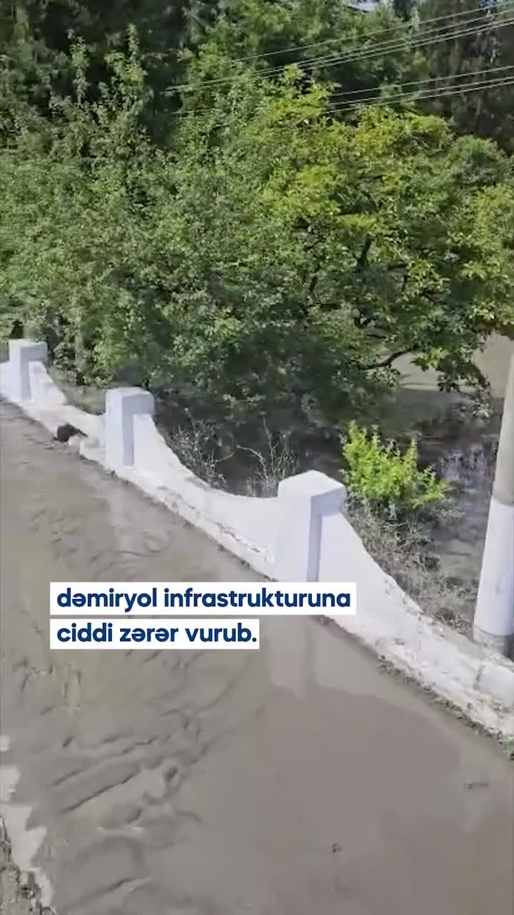 Sərnişinləri ödənişsiz avtobuslar daşıyacaq