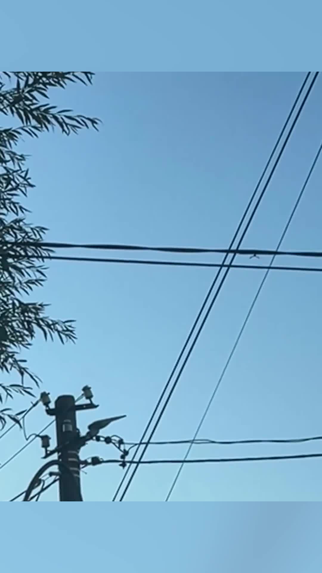 Moskvaya dron hücumu