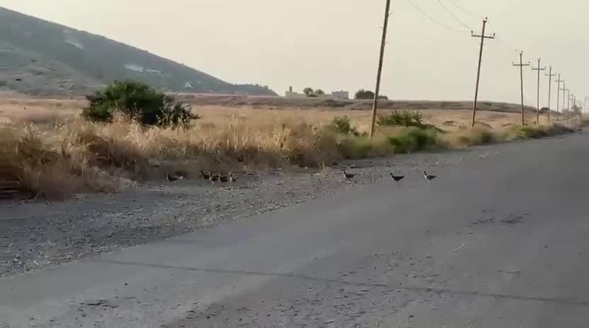 Götürüb “ümidlərin” gedir sabaha sarı...