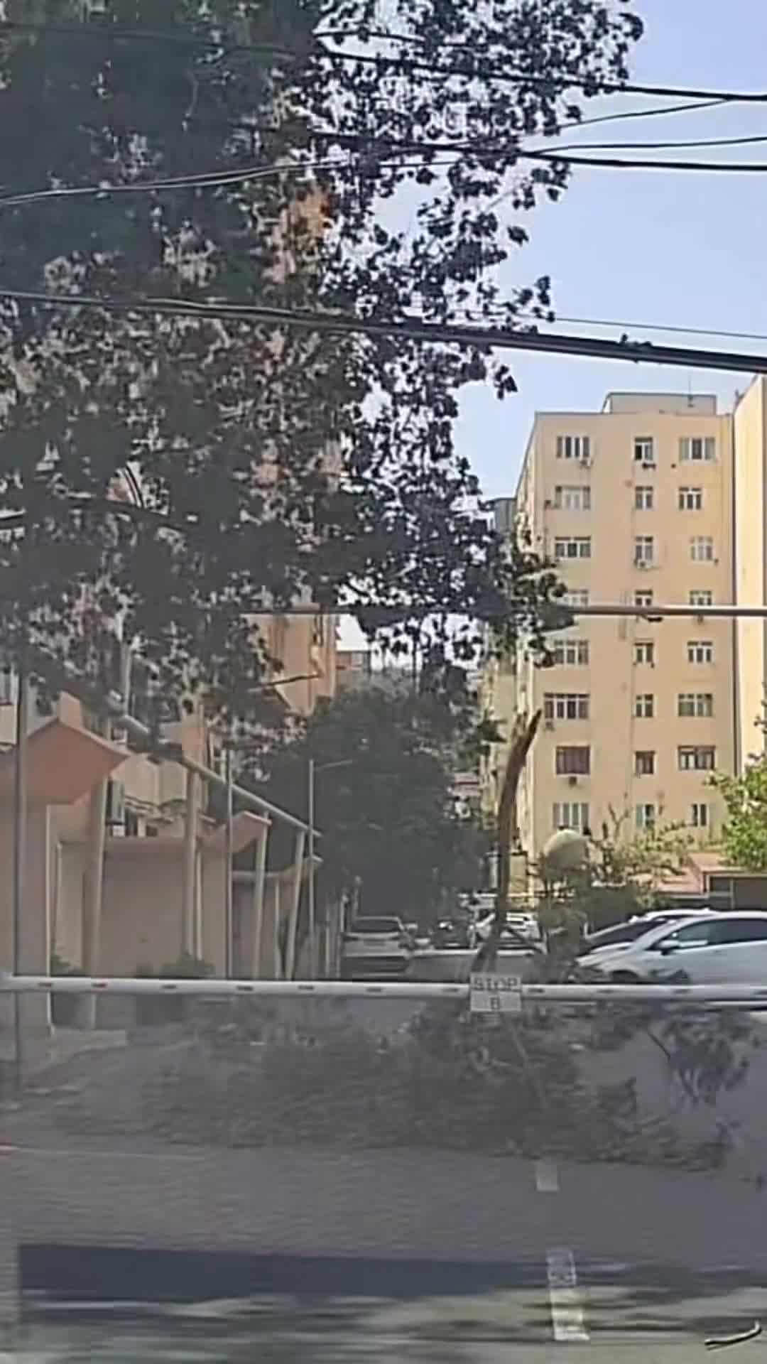 Sınan budaq qadının üzərinə belə düşübmüş