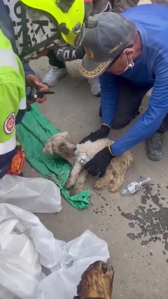 Zəlzələdən 29 gün sonra xilas edildi