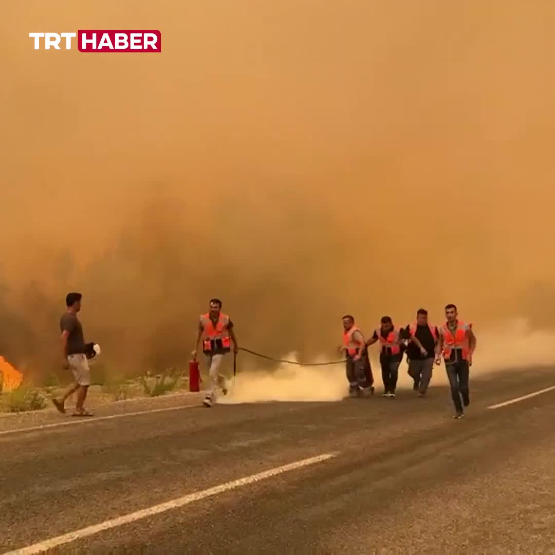 Muğlada meşələr yanır