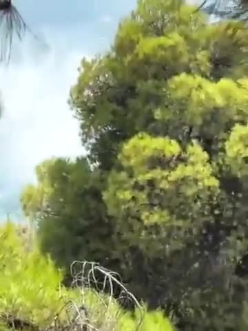 Yanğını söndürməyə getmişdilər, toqquşdular
