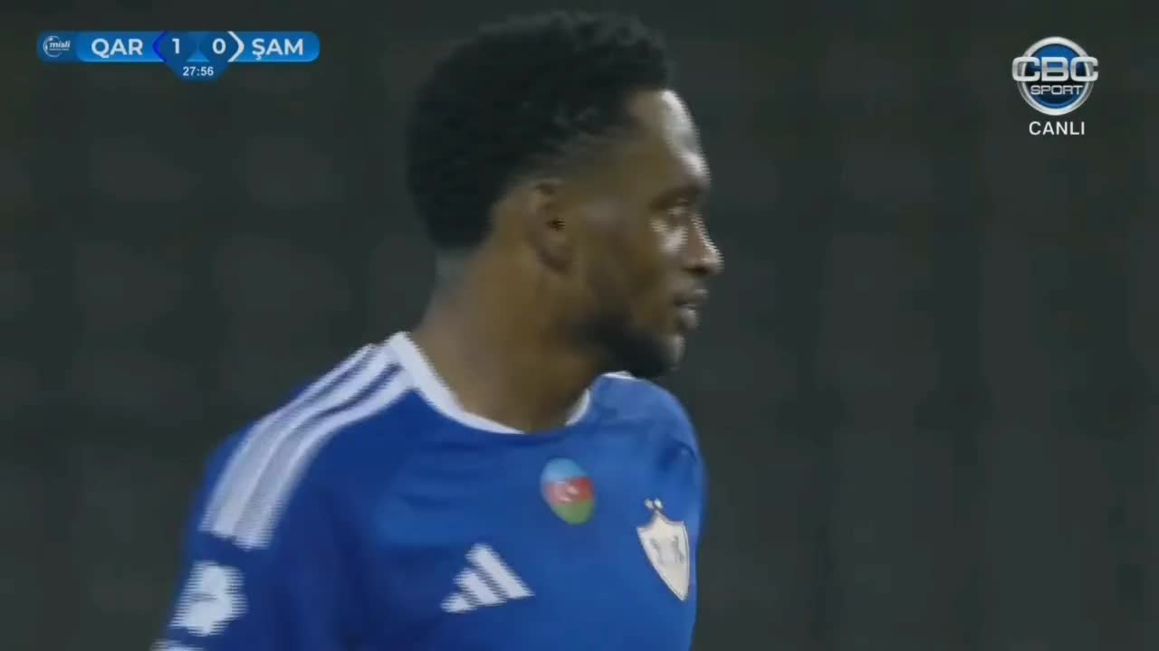 Renaldo Sefasın qolu