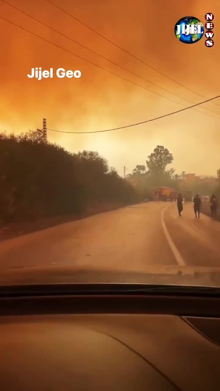 Əlcəzairdə meşə yanğınları