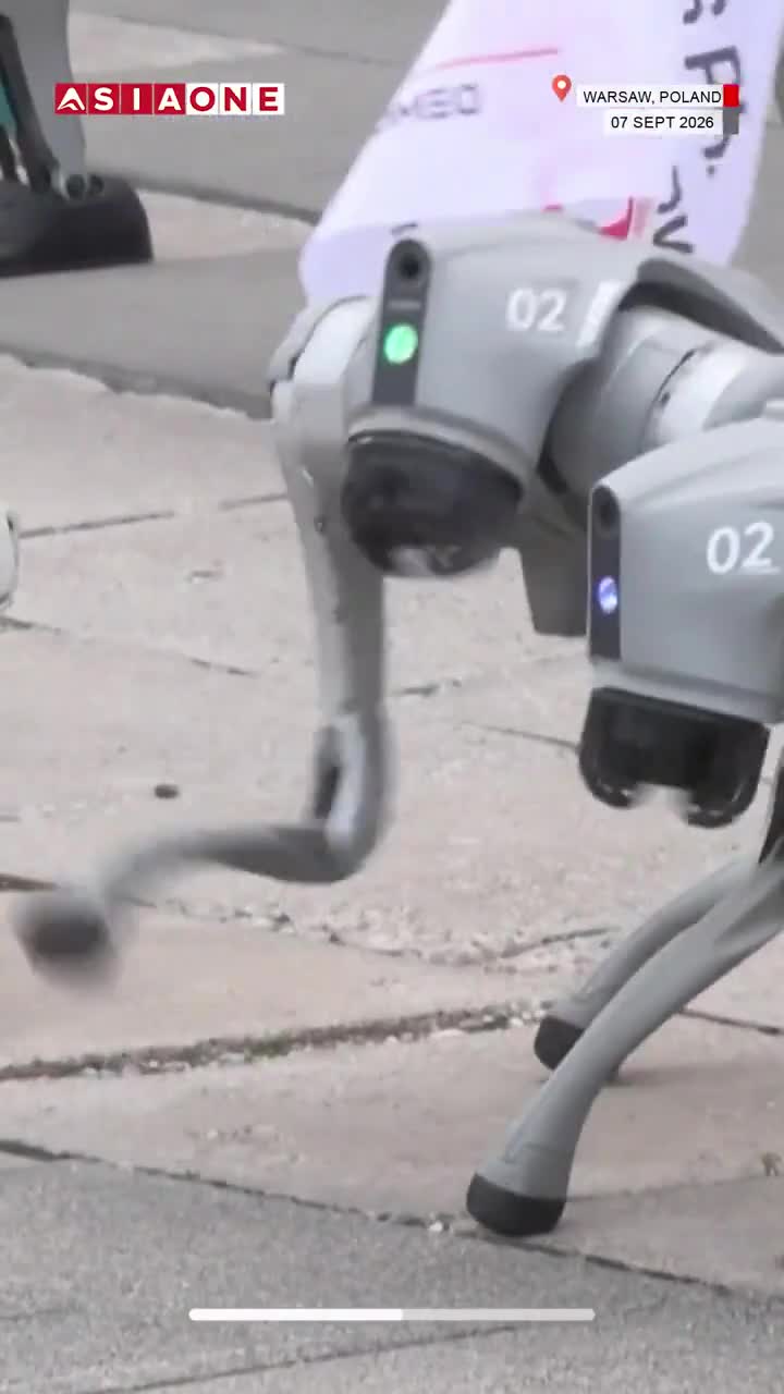 Bu dəfə robotlar "aksiya keçirdi"