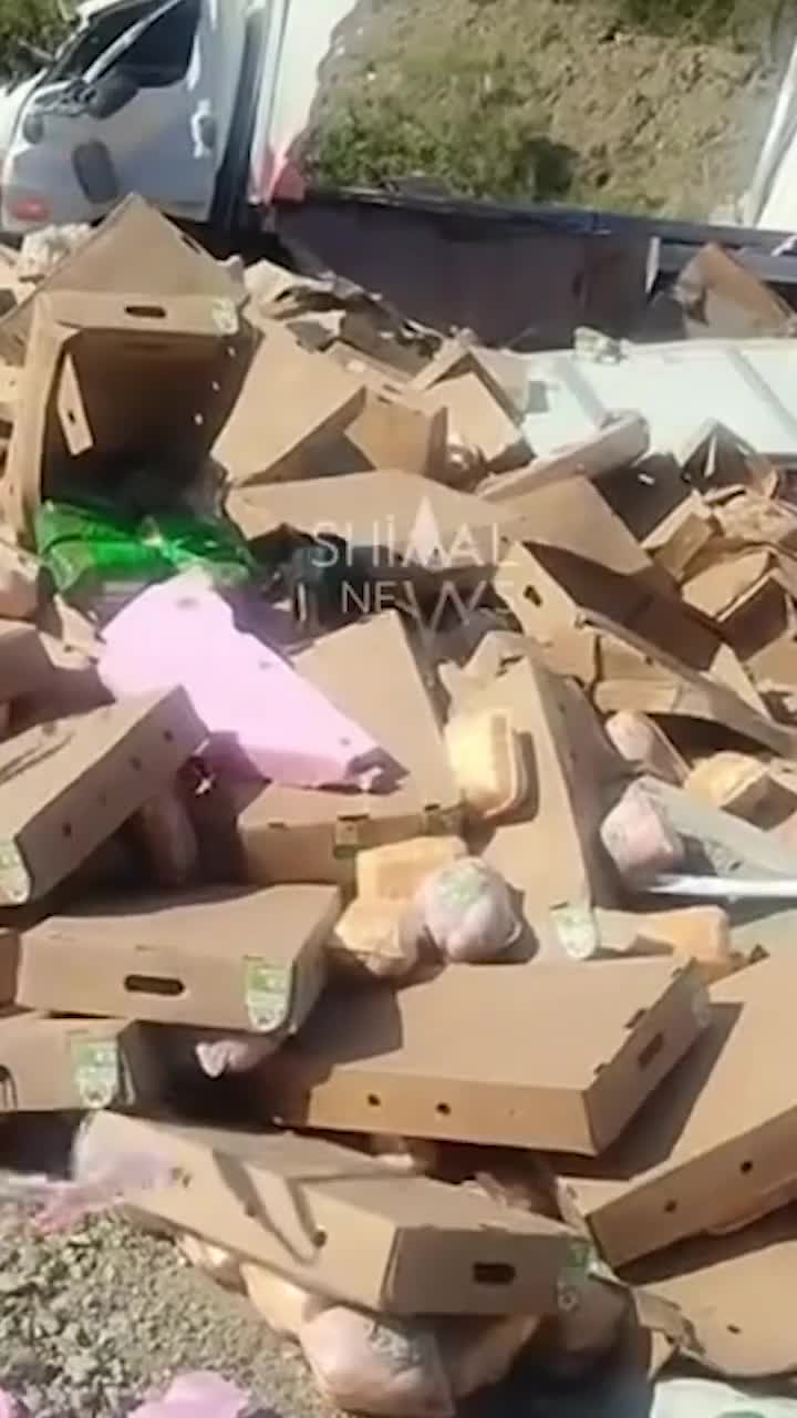 Tonlarla toyuq yola dağıldı