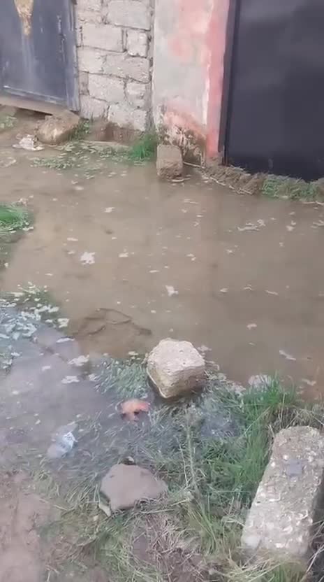 Yeni Ramana qəsəbəsində su borusu partladı