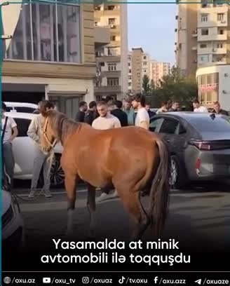 Bakıda avtomobil atla toqquşdu