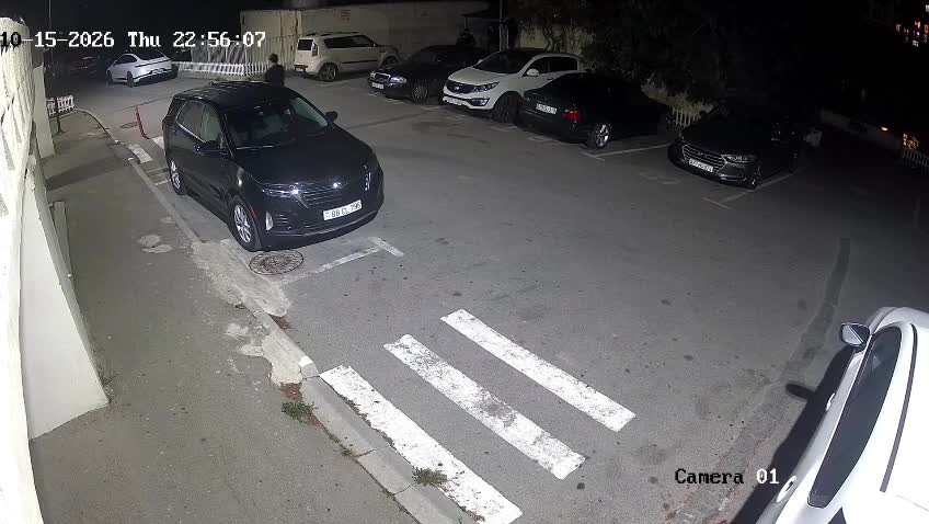 “Bir sürü sahibsiz it üstümüzə hücum edir”