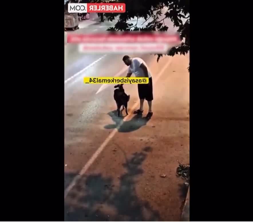 İtə Tə*avüz etdi