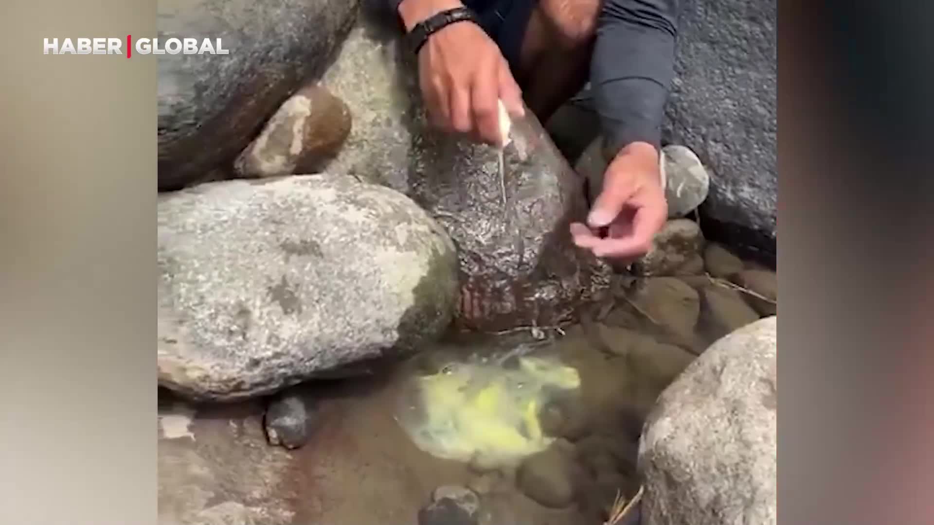 Sadece bir yumurtayla devasa balık yakalayan adam