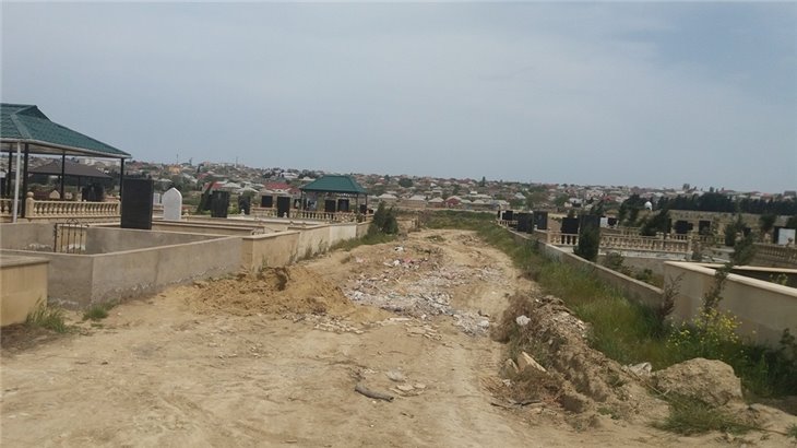 Dədə Qorqud qəbiristanlığında qalmaqal - Ağaclar....