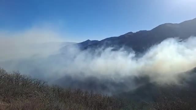Güney Azərbaycanın Qaradağ meşələrində yanğın