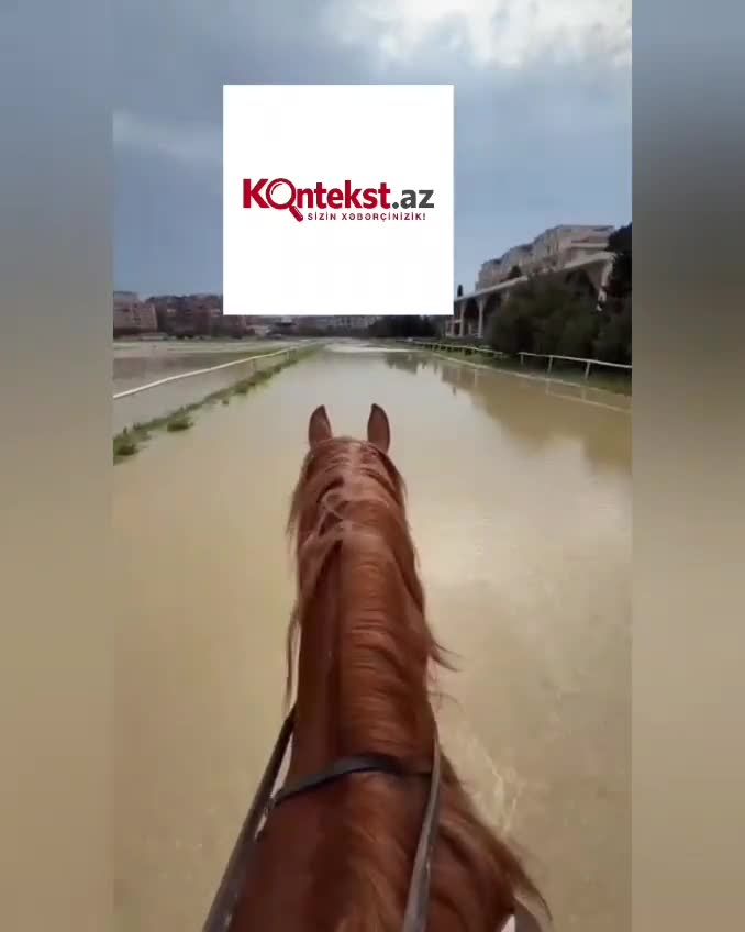  Nazirliyin ippodromunda dözülməz vəziyyət