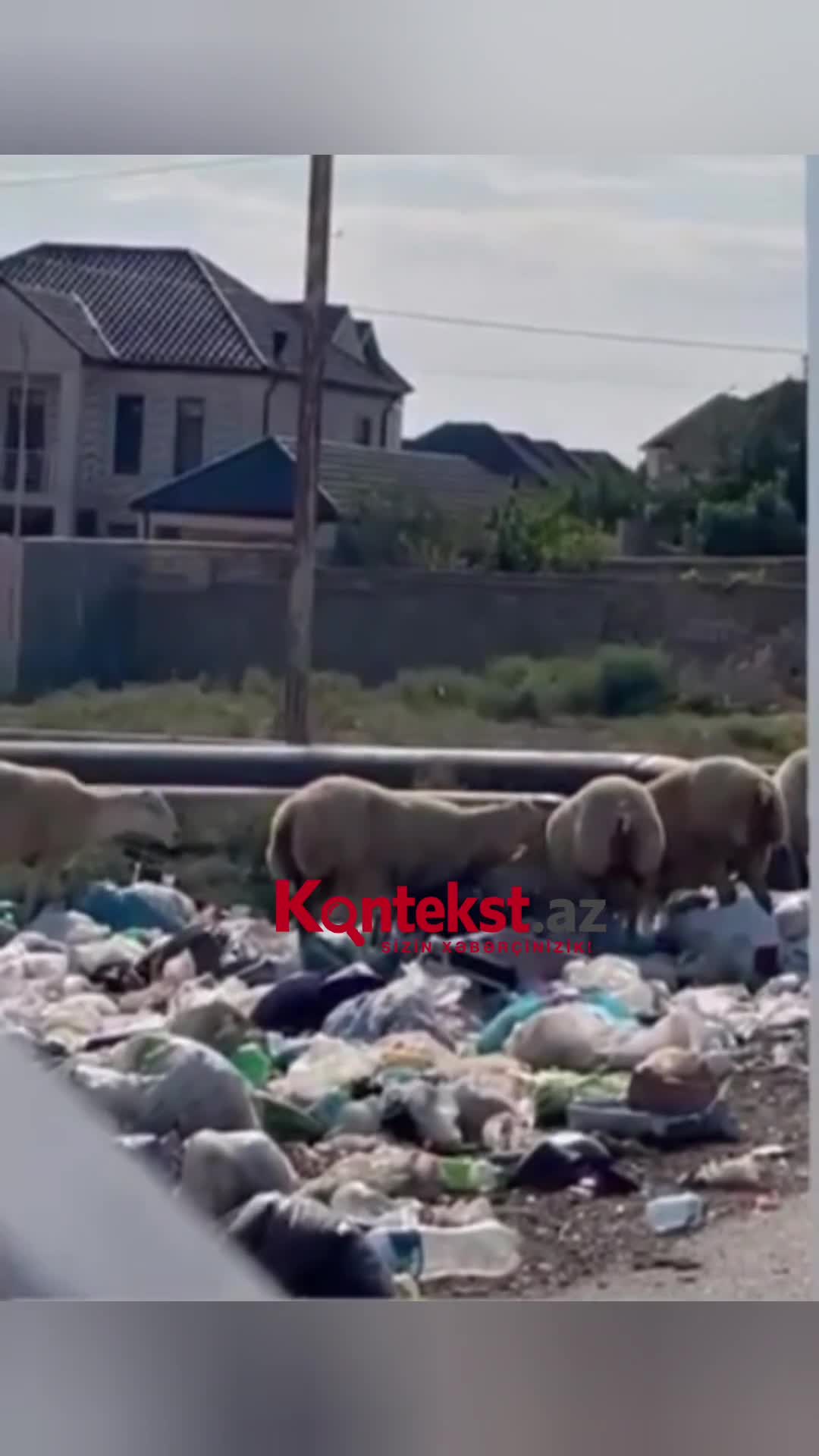 Masazırda küçə zibilliyə çevrilib