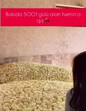 Bakıda 5001 qızıl gül kimə verilib? 
