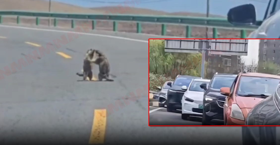 yolu bağlayıb dalaşdılar