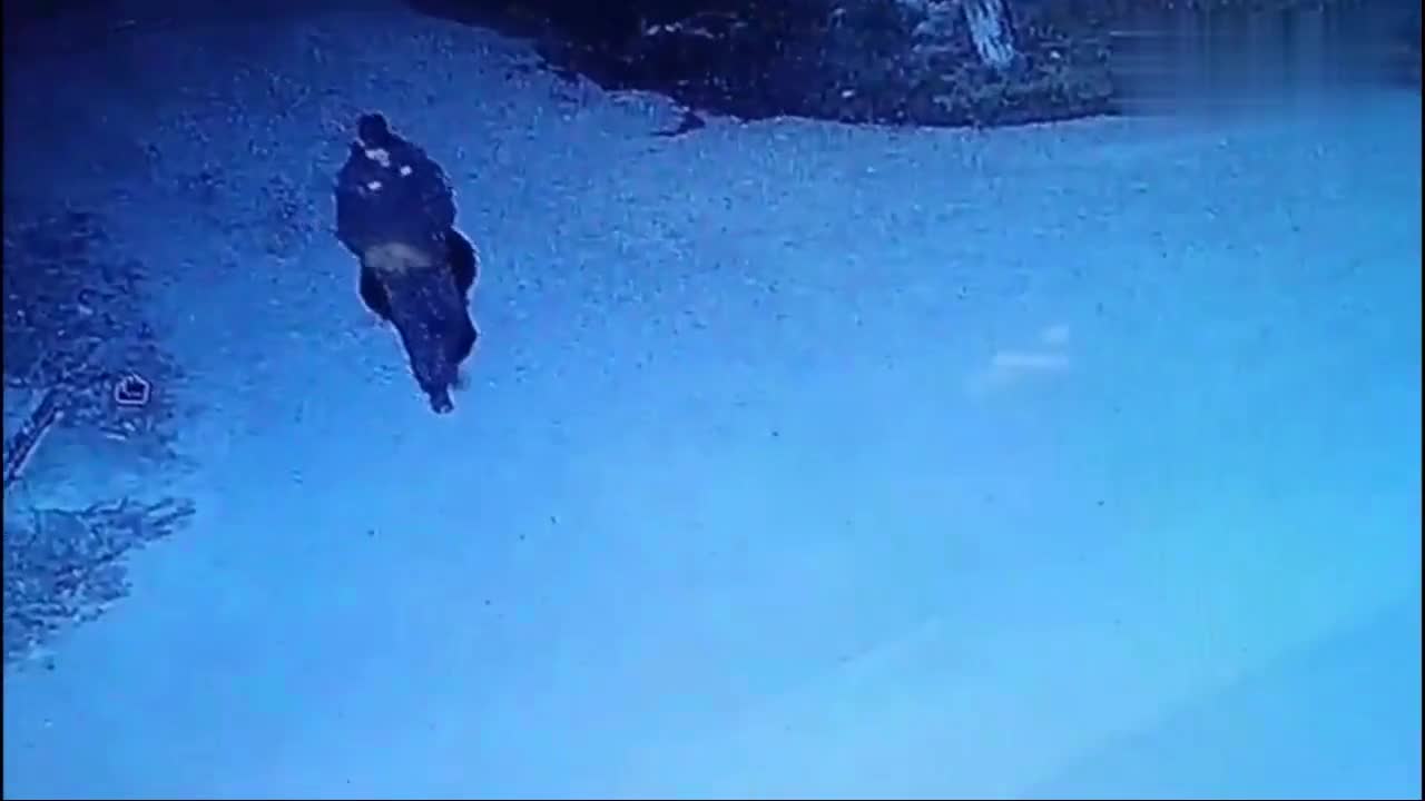 yol polisi rəisinin maşınını yandırdı