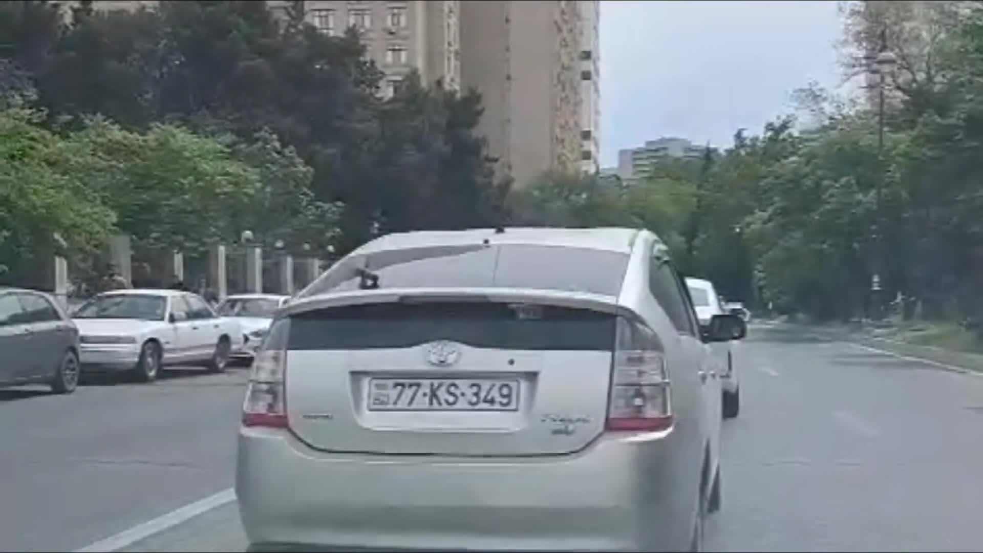 İşıqforun qarşısını kəsən ağaclar qəzaya və cəriməyə səbəb olur 
