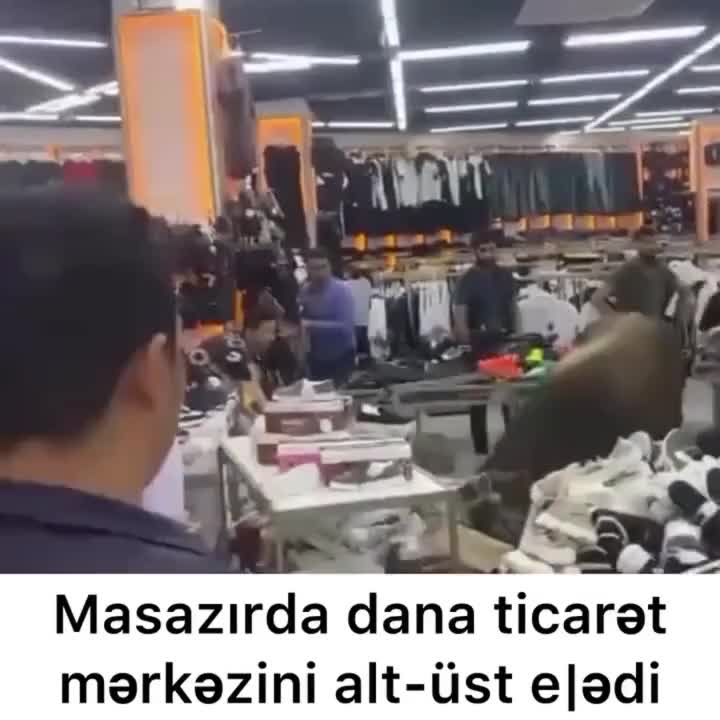Masazırda dana ticarət mərkəzinə girdi