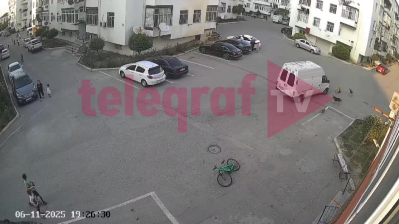 Abşeronda sürücü avtomobillə itlərin üstündən keçdi 