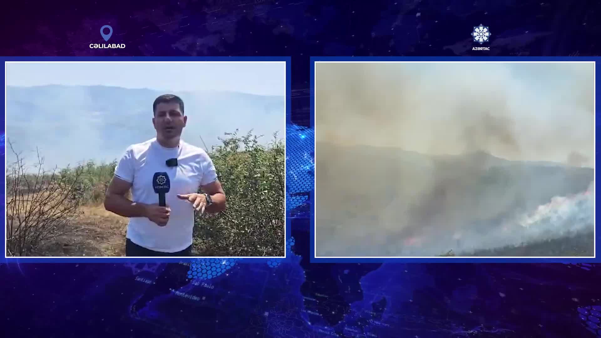 Cəlilabadda meşə ərazisinə keçən yanğın lokallaşdırılıb