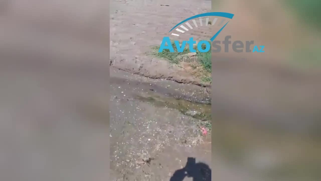 Vətəndaş “Ramada” hotelin Xəzərə çirkab su axıtdığını iddia edir