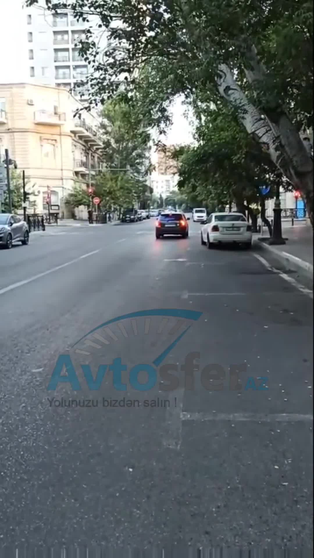 Svetofor və nişanlar ağacın içində gizlənib