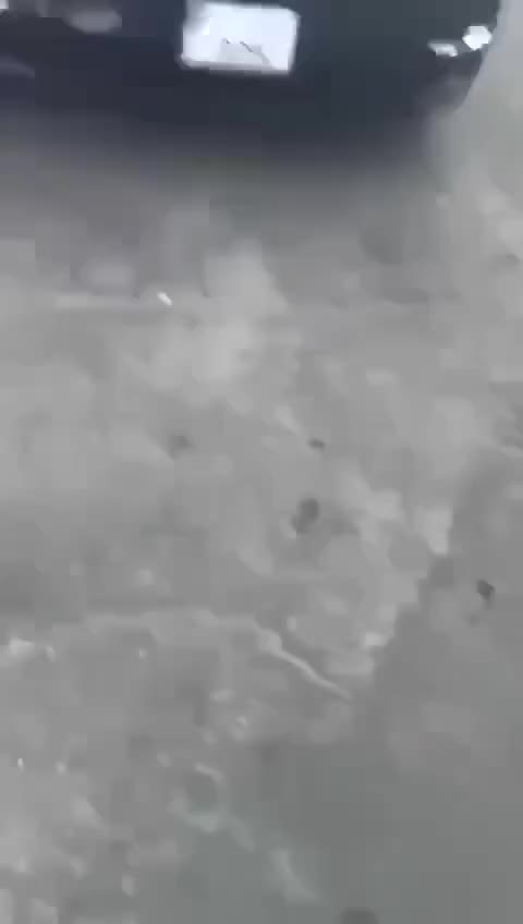 Kiyevdə azərbaycanlı ailəyə atəş açıldı