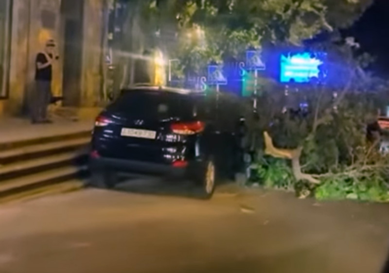 Bakıda ağac avtomobilin üzərinə aşıb