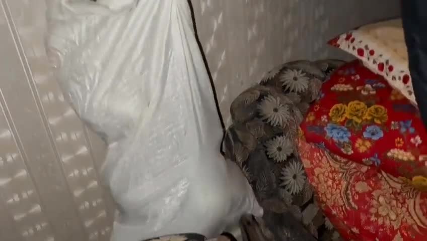 Ağcabədidə əməliyyat 