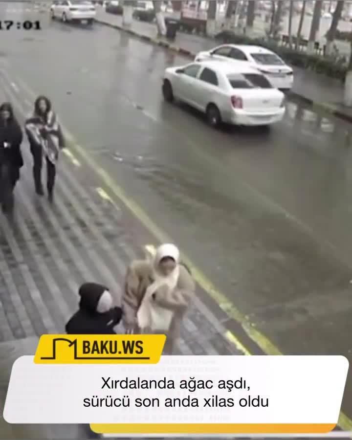Xırdalanda ağac aşdı, sürücü son anda xilas oldu