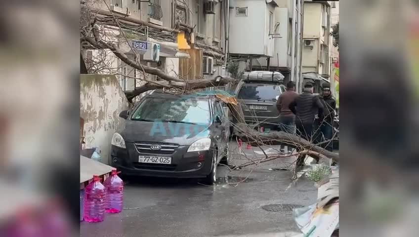 Yasamalda qurumuş ağac avtomobilin üzərinə aşdı