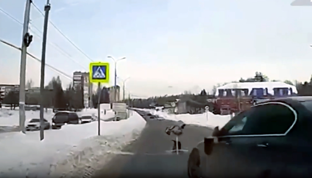 Qayda pozan “BMW” sürücüsü 12 yaşlı qızı keçiddə vurdu