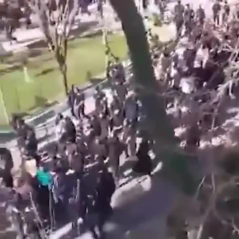 Tehranda tələbələr etiraz aksiyası keçirib