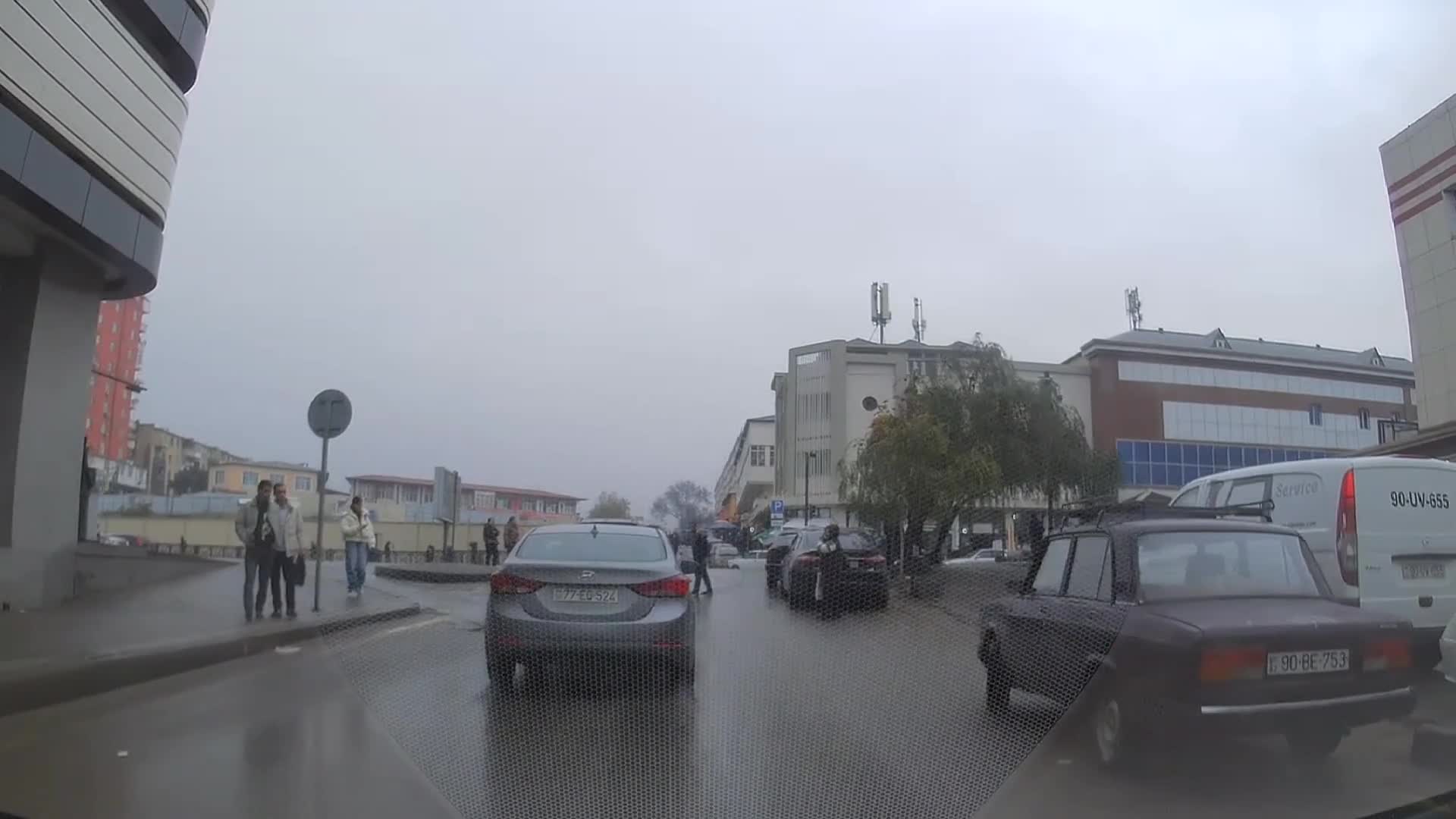 Ağacın arxasında görünməz qalan svetofor və nişan