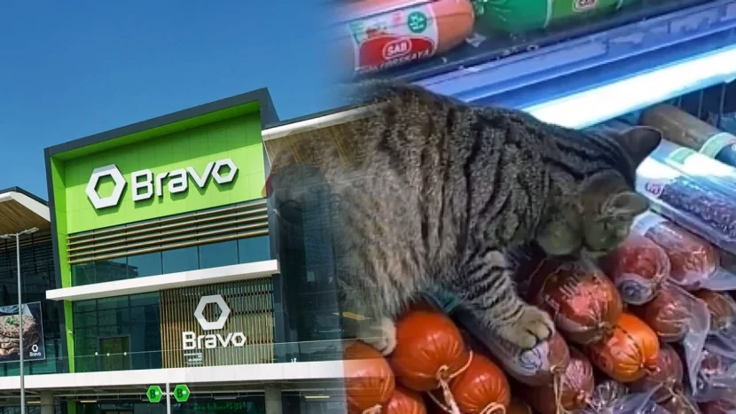 Bravo”da ətlərin dadına birinci pişik baxır