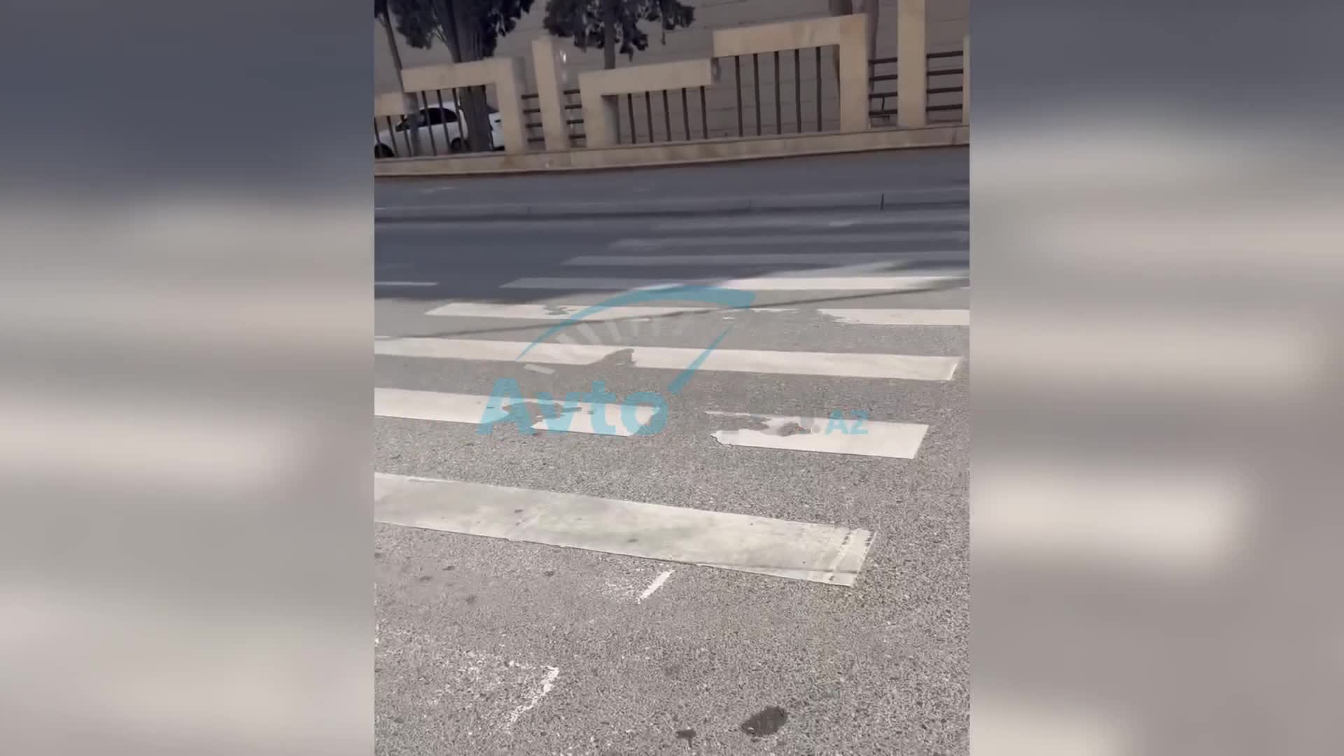 Səfirliyə məxsus “BMW” piyadaları təhlükə ilə üz-üzə qoydu