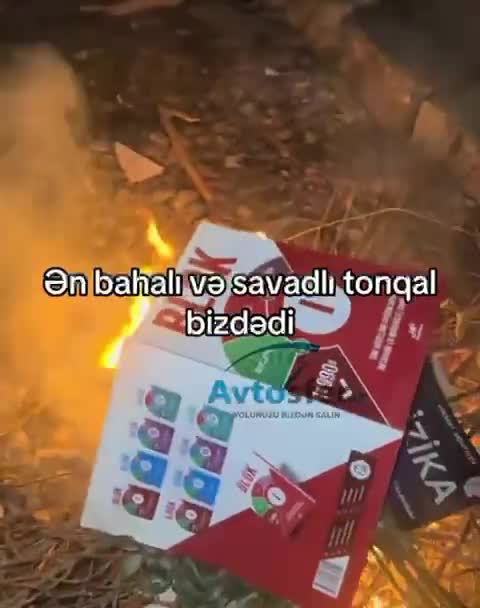 Kitabı tonqala atmaq mədəniyyətə qarşı açıq hücumdur 