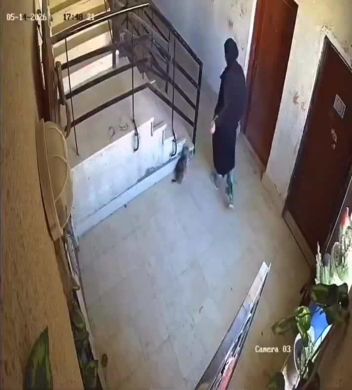 Ürəyi dayanan professor həyata belə qaytarıldı